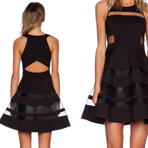 Parker runway designer panel dress gorgeous unique - Picture 2 of 2